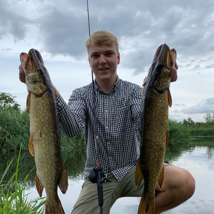 Profile Picture of Carl Hauser (@carlhauser7) on Tiktok