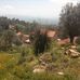 Profile Picture of Mohamed Saber Pacha (@mohamed.saberpacha.3) on Facebook