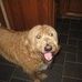 Profile Picture of Brady Maynard (@brady.maynard.33) on Facebook