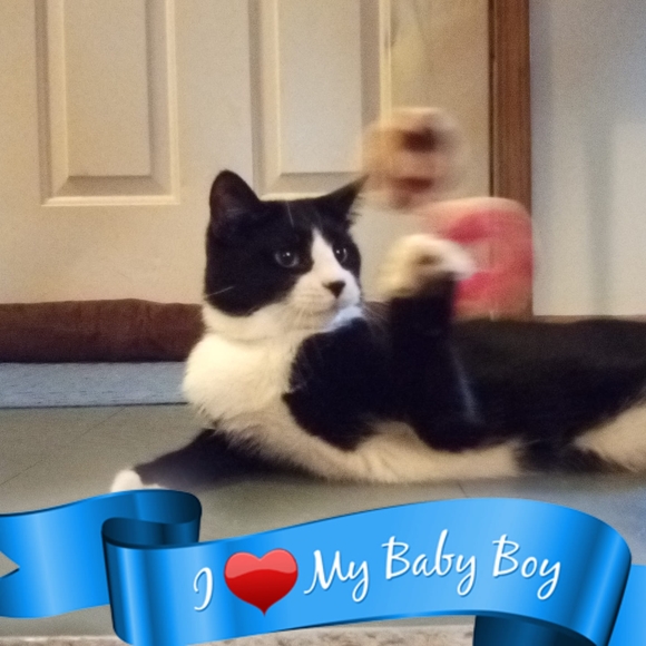 Profile Picture of Ruby Mckee (@ruby_mckee) on Poshmark