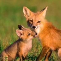 Profile Picture of James Petrie (@james-petrie-30) on Quora