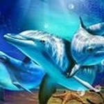 Profile Picture of Veronica June Hodgson (@hodgsonveronica) on Instagram