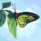 Profile Picture of Ruth Stewart (@RuthStewart-mr1gg) on Youtube