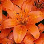 Profile Picture of Michelle Jenshak (@michellejenshak) on Instagram