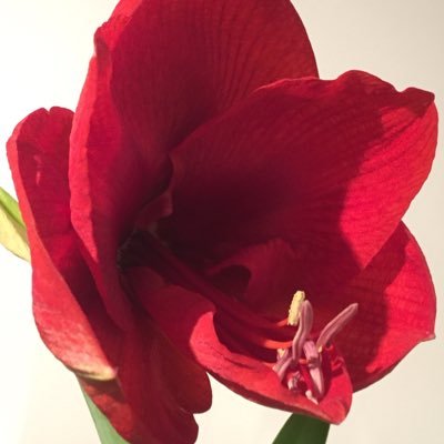 Profile Picture of Susanne Engel (@susanne0704) on Twitter