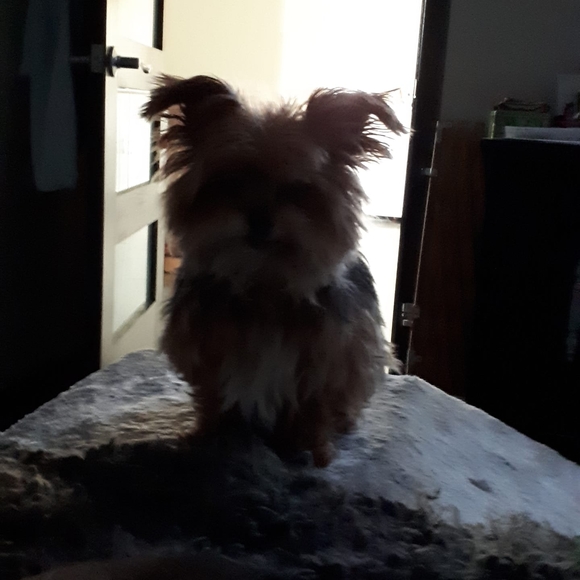 Profile Picture of Marie-pierre Marcoux (@sk8_sharp) on Poshmark