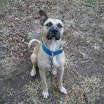 Profile Picture of Jeff Obermeier (@jeff.obermeier.5) on Facebook