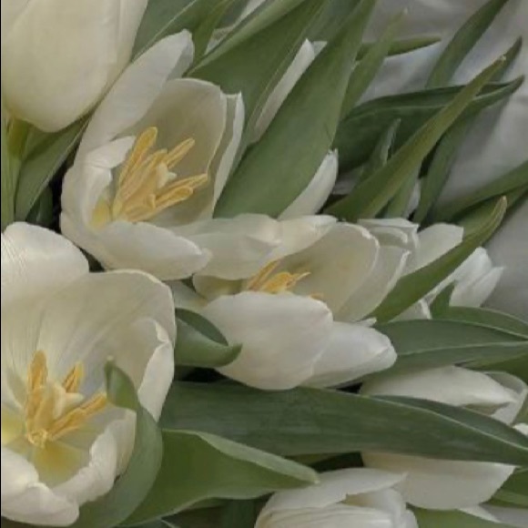 Profile Picture of Randy Sutton (@sk8tergirl2104) on Poshmark