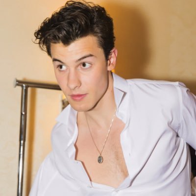 Profile Picture of @shawnMendesisthebest (@JuliaGiunta2) on Twitter