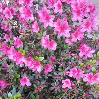 Profile Picture of Man Saetern (@Man-Saetern) on Facebook