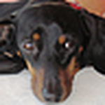 Profile Picture of Michael Powers (@mapowerstn) on Flickr