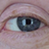 Profile Picture of Ann Squires (@annsquires) on Flickr