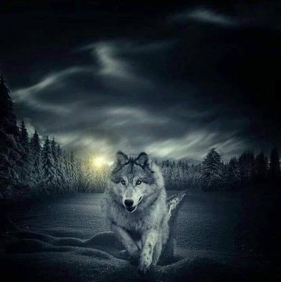 Profile Picture of Maritza Jauregui (@maritzajaure981) on Poshmark