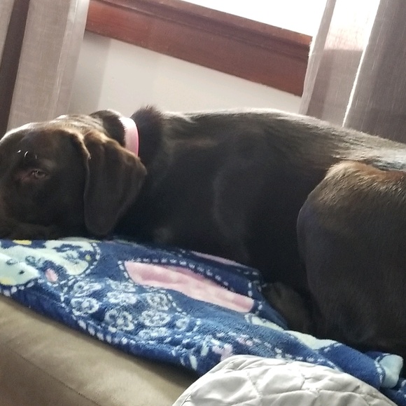 Profile Picture of Stacy Kemp (@stacykemp) on Poshmark