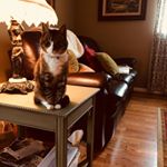 Profile Picture of Margee Randall (@randallmargee) on Instagram