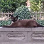 Profile Picture of Gina Lanza (@lanza9187) on Instagram