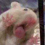 Profile Picture of 김민아 (@6_6mina) on Instagram