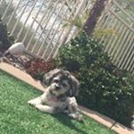 Profile Picture of Lisa Odegaard (@rxgirl123) on Instagram