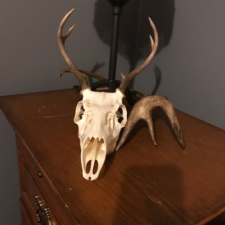 Profile Picture of Mark Defibaugh (@madskins07) on Tiktok