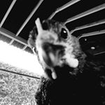 Profile Picture of Shawnda Bentley (@shawnda.bentley) on Instagram