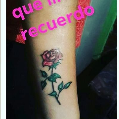 Profile Picture of Ivonne Rodríguez Vasquez (@IvonneR38960995) on Twitter