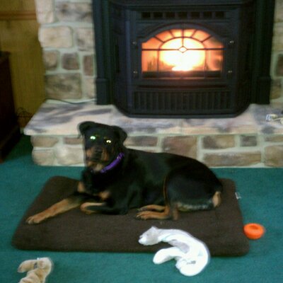 Profile Picture of Darryl Allen (@darrylnallen) on Twitter
