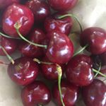 Profile Picture of Simone Schneider-Hedderich (@missesbaseball_) on Instagram