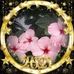 Profile Picture of Pat A Marchewka (@pata.marchewka.9) on Facebook