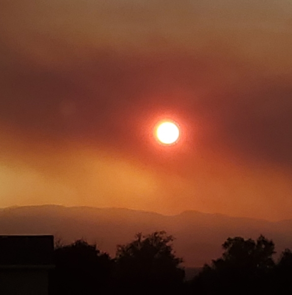 Profile Picture of Joe Grady (@gradyj30) on Poshmark