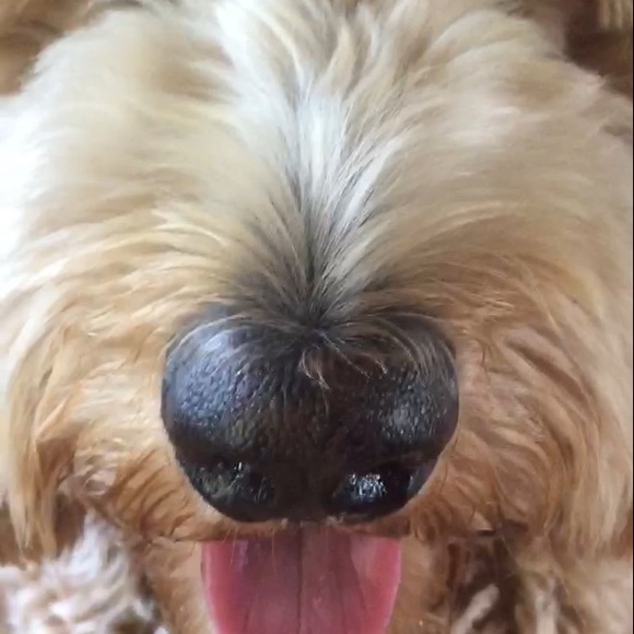 Jill Prestel - Poshmark Profile Picture of Jill Prestel (@birdies3) on Poshmark