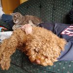 Michael Pavicic - Instagram Profile Picture of Michael Pavicic (@pavicicmichael) on Instagram