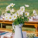 Profile Picture of Sarah Worden Natural Design (@sarahwordennatural) on Instagram