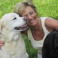 Profile Picture of Lori Blevins (@lori-blevins-3) on Quora