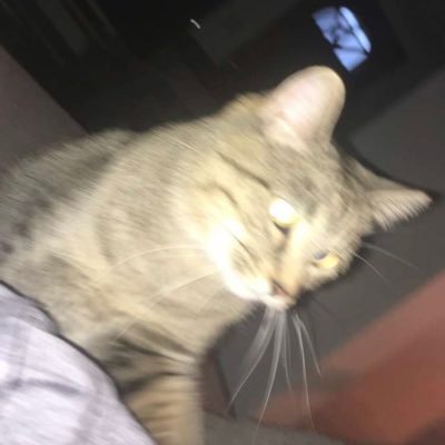 Profile Picture of Travis’s Favorite Student (@travis_student) on Twitter