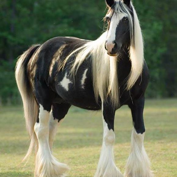 Profile Picture of Tina Clarkson (@tinaclarkson) on Poshmark