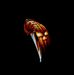 Profile Picture of Aron Touchet (@aron.touchet.3) on Facebook