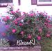 Profile Picture of Kathryn Hagerman (@kathryn.hagerman.1) on Facebook