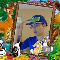 Cindy Bolt - Quora Profile Picture of Cindy Bolt (@cindy-bolt-1) on Quora