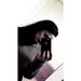 Profile Picture of Helen Locklear  (@helenlocklear0277) on Pinterest