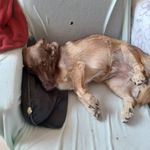 Profile Picture of Jean-paul Temmerman (@jeanpaultemmerman) on Instagram