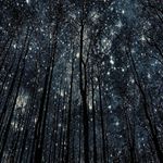 Profile Picture of Nolan chase (@nolan.chase17) on Instagram