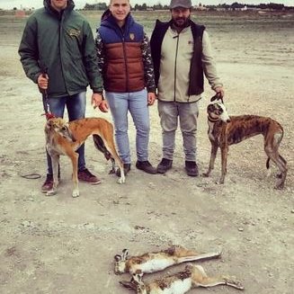 Arturo Corral - Twitter Profile Picture of Arturo Corral (@Arturo53606269) on Twitter