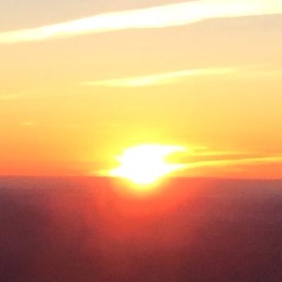 Profile Picture of Mandy Pitts (@hickorygurl) on Twitter