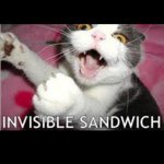 Profile Picture of Chad Proctor (@evrwinter) on Instagram