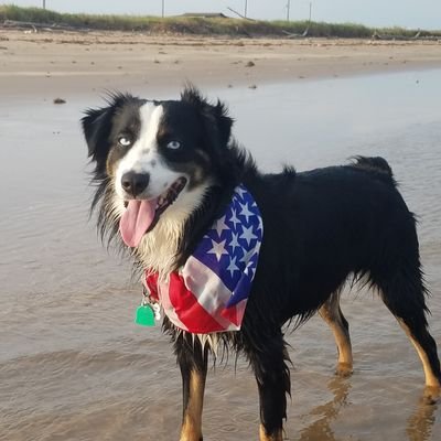 Profile Picture of Scott Quinton (@ScottQuinton5) on Twitter