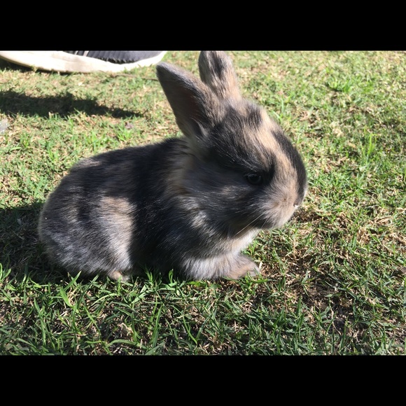 Profile Picture of Luis Uraje (@luis_uraje) on Poshmark