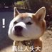 Profile Picture of ZanZhang (@ZanZhang1) on Twitter