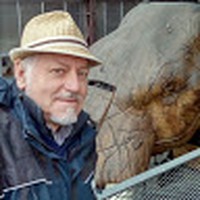 Serge Guilleminault - Quora Profile Picture of Serge Guilleminault (@serge-guilleminault) on Quora