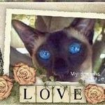 Profile Picture of Glenn Scroop (@glennscroop) on Instagram