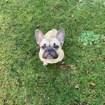Profile Picture of Daniel_ Mager (@daniel_mager_) on Instagram